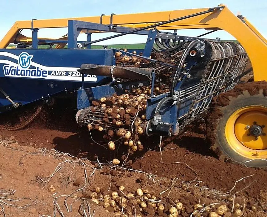 Tractor Operating Potato Hilling Equipment for Soil Preparation in India
