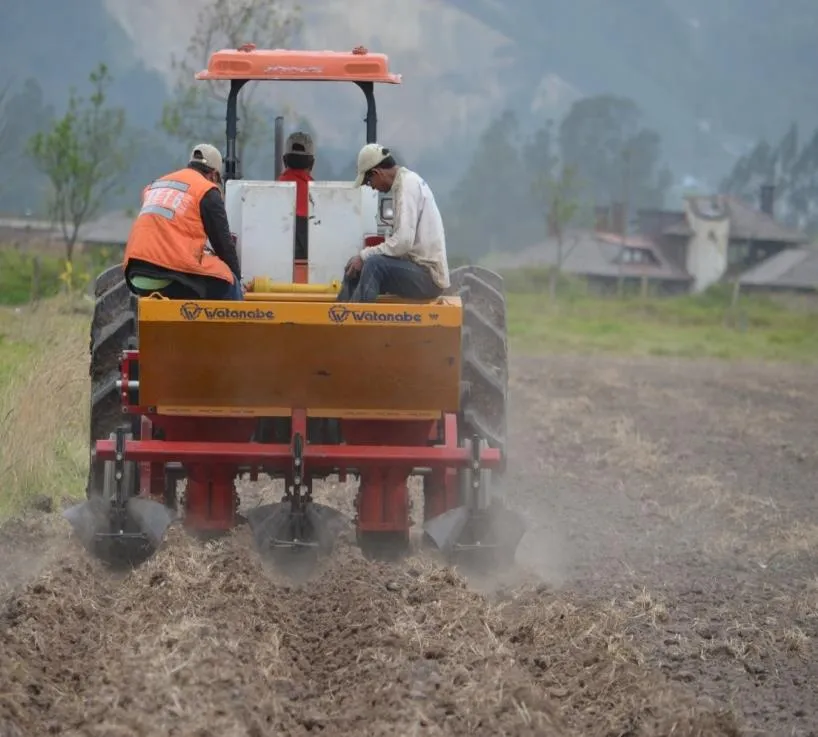 Tractor Operating Potato Hilling Equipment for Soil Preparation in India