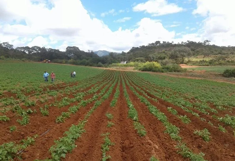 rotary cultivator application